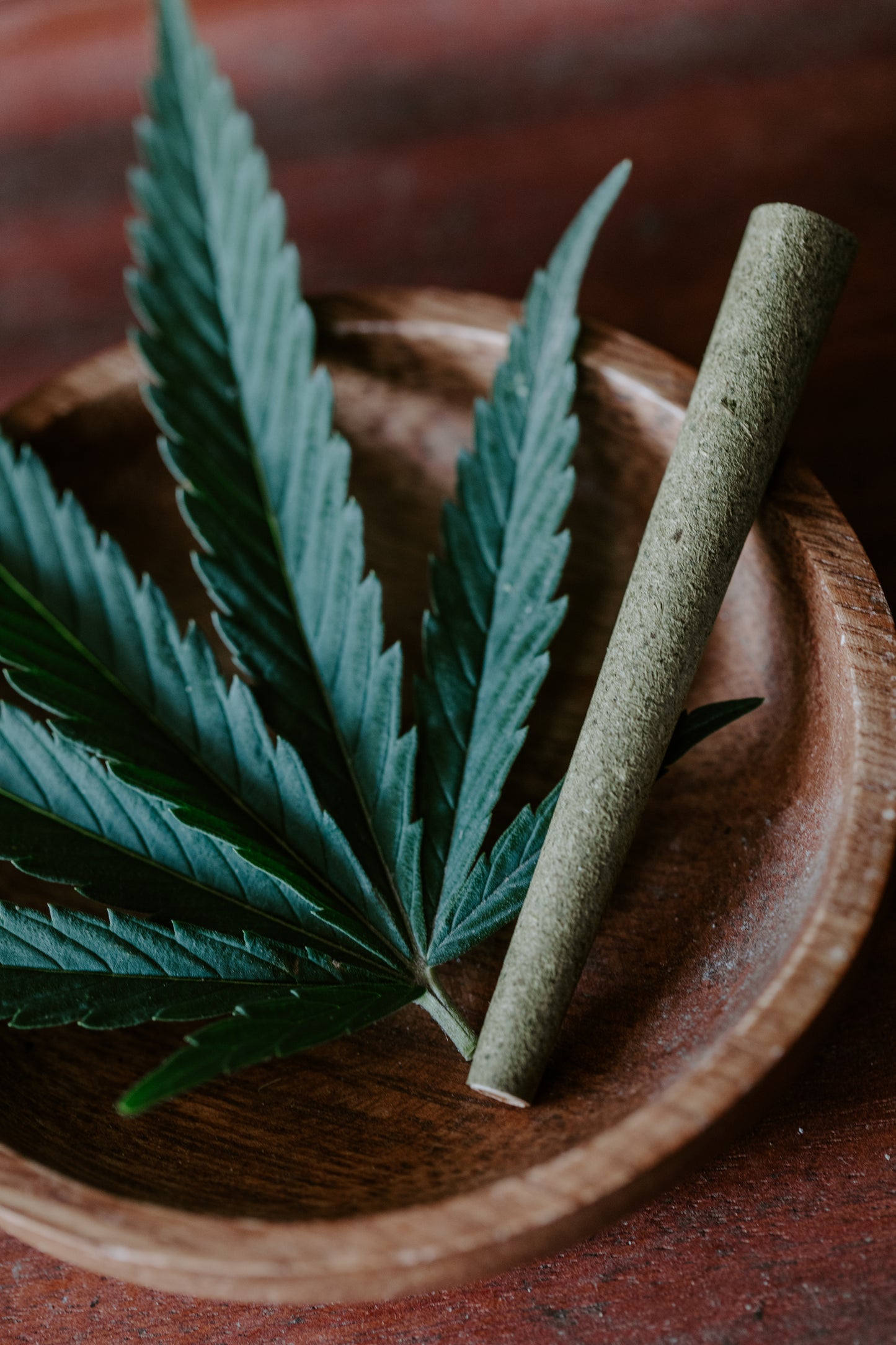 Hemp Bud pressed Cones/Blunts | 50 pack | 109mm